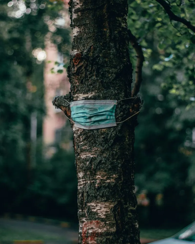 Face mask resting on a brown tree trunk